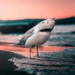 Meet your Posher, Megane